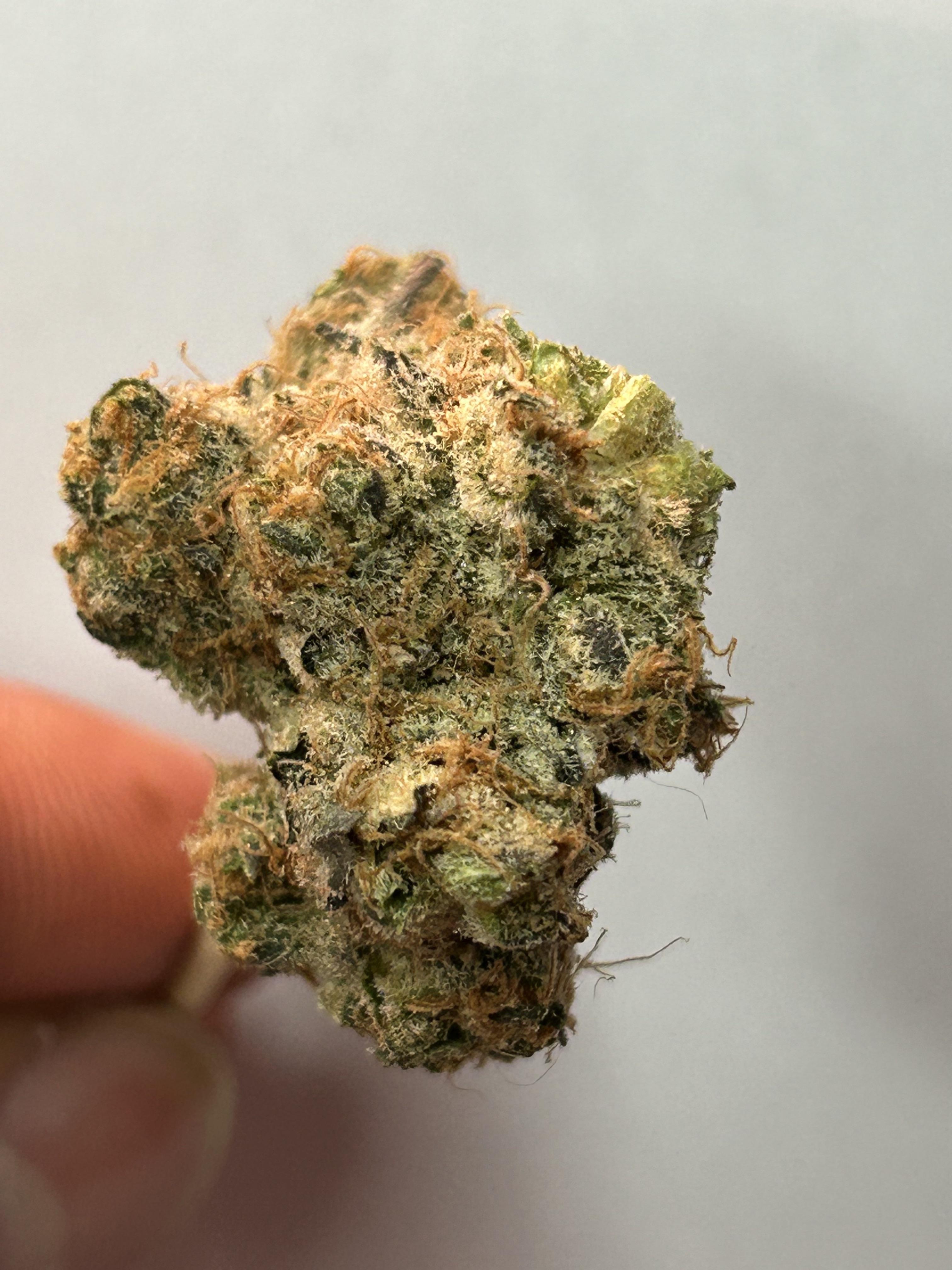 Community C/O Purple Hills - Chance XXL